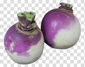 Two white-and-purple vegetables, Turnip transparent background PNG clipart