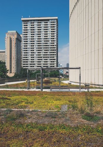 Two White Concrete Buildings