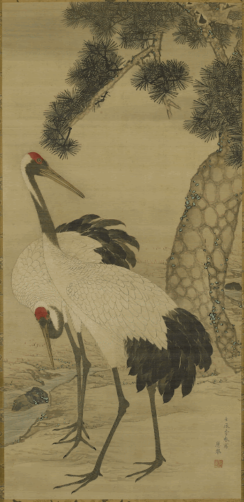 two white cranes with black | Free Photo - rawpixel