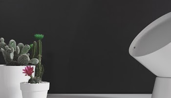 Two White Flower Pots