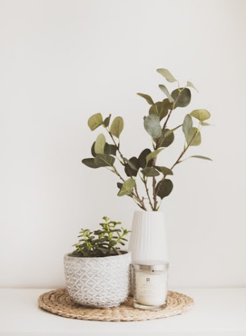 Two White Flower Vases