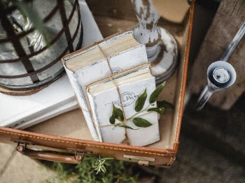 Two White Hardbound Books Near Black Cage