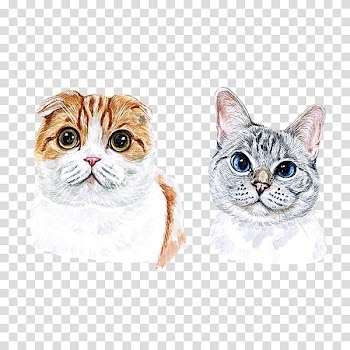 Two white, orange, and gray cats illustration, Cat Watercolour Flowers Watercolor painting, Watercolor cat transparent background PNG clipart