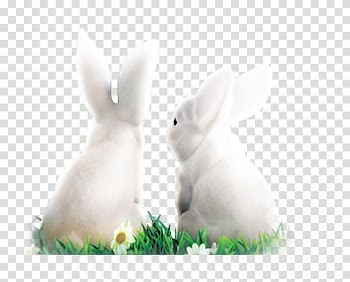 Two white rabbits on grass illustration, White Rabbit Domestic rabbit Easter Bunny Hare, Snow White Rabbit transparent background PNG clipart