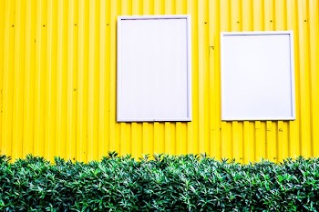two white windowpanes