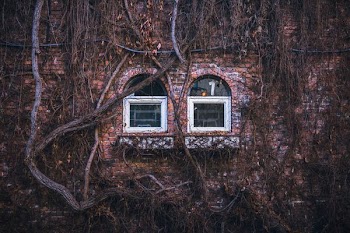 two white wooden window during daytime