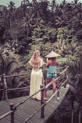 Two Woman Standing Beside Railing Looking in Forest