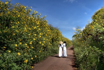 Two Woman Walking on Pathway Surround With Flowers