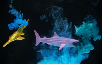 Two Yellow and Pink Sharks Emitting Smokes
