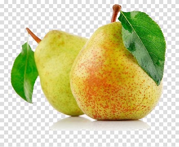 Two yellow pears , Pxe1linka Asian pear Fruit Nutrition Apple, pear transparent background PNG clipart