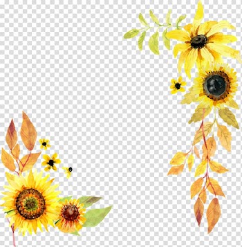 Two yellow sunflowers, Common sunflower Red sunflower 2018 Nissan LEAF, Hand-painted sunflower transparent background PNG clipart