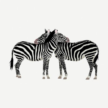 Two zebra friends clipart, animal | Free PSD - rawpixel
