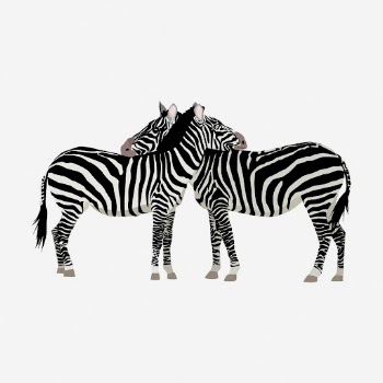 Two zebra friends clipart illustration. | Free Photo - rawpixel