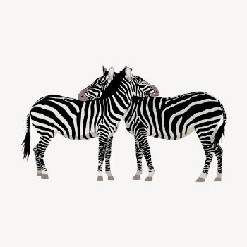Two zebra friends clipart, illustration | Free Vector - rawpixel