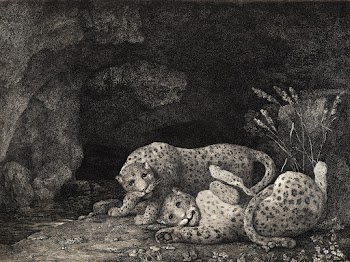 Tygers at play (1780) print in high… | Free public domain illustration