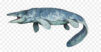 Tylosaurus Mosasaurus Hainosaurus Deinonychus Dinosaur - Vector dinosaurs 