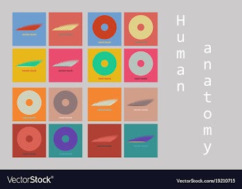 Types of muscle tissue of human body diagram vector image