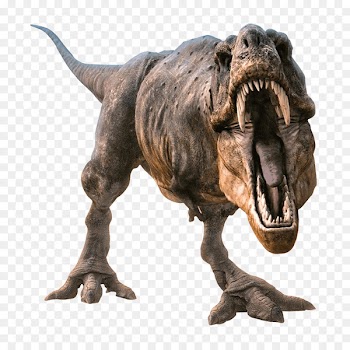 Tyrannosaurus, Allosaurus, Velociraptor, Dinosaur, Animal Figure PNG