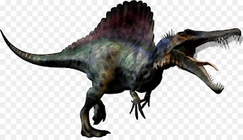 Tyrannosaurus Dinosaur size Portable Network Graphics Transparency -  