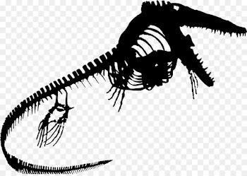 Tyrannosaurus Font Invertebrate -  
