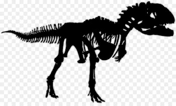 Tyrannosaurus Majungasaurus Velociraptor Saltasaurus Spinosaurus -  