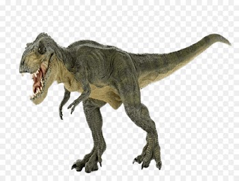 Tyrannosaurus Stegosaurus Brachiosaurus Giganotosaurus Dinosaur - dinosaur 