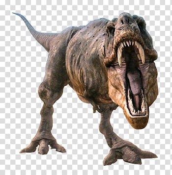 Tyrannosaurus Velociraptor Dinosaur, animals transparent background PNG clipart