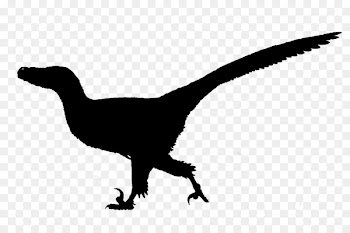 Tyrannosaurus Velociraptor Fauna Silhouette Beak -  