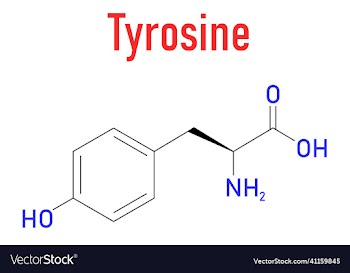 tyrosine amino acid molecule skeletal formula