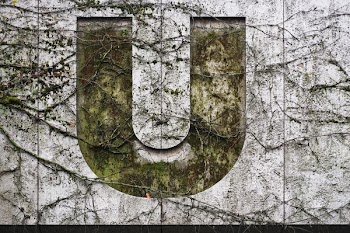 U logo on white painted wall