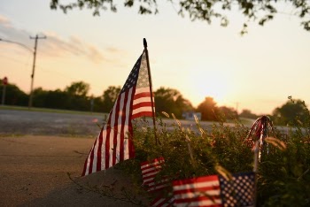 U.s.a. Flag Near Green Leaf Trees during Golden Hour
