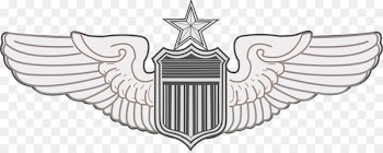 U.S. Air Force aeronautical rating 0506147919 United States Aviator Badge Badges of the United States Air Force - wings material 
