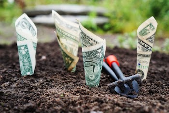 U.s Dollar Bills Pin Down on the Ground