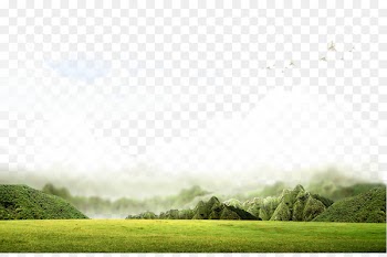 u4e0au6d77u7b7eu8bc1u7f51 u4e0au6d77u6709u9650u516cu53f8 Gratis Information - Grass field 