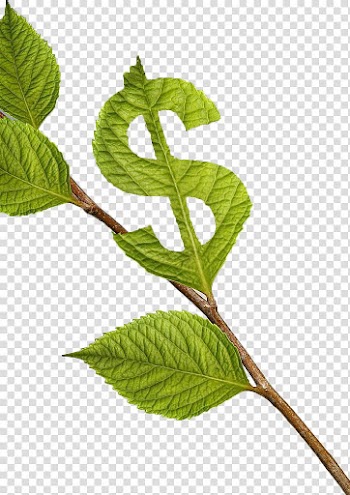 U4fddu5bccu6cd5 Rich Dads Before You Quit Your Job: 10 Real-Life Lessons Every Entrepreneur Should Know About Building a Multimillion-Dollar Business Dollar sign MPEG-4 Part 14, Dollar sign leaves transparent background PNG clipart