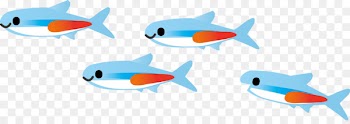 u5e02u6c11u30d1u30bdu30b3u30f3u587e u6771u91d1u6821 Tropical fish - Flocks of small fish in the sea 