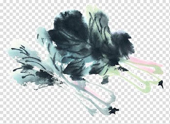 U7e6au756bu85ddu8853 u4e2du570bu5de5u7b46u756b Ink wash painting Chinese painting Vegetable, Painting cabbage transparent background PNG clipart
