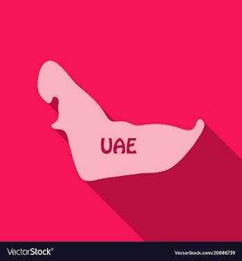 Uae map in flat style with shadow vector image