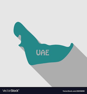 Uae map in flat style with shadow vector image