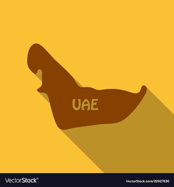 Uae map in flat style with shadow vector image