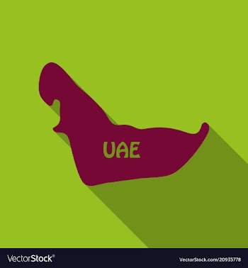 Uae map in flat style with shadow vector image