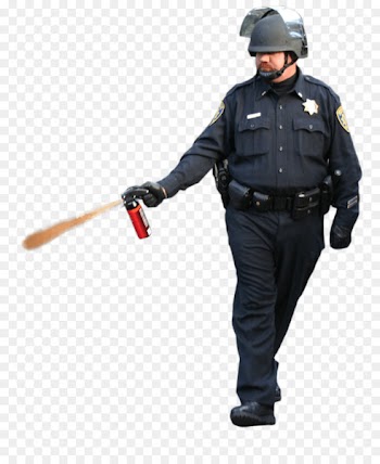 UC Davis pepper spray incident Police officer Occupy movement - police 
