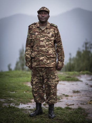 Ugandan Wildlife Authority, Nkuringo, Uganda, | Free Photo - rawpixel