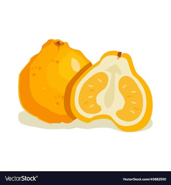 ugli fruit