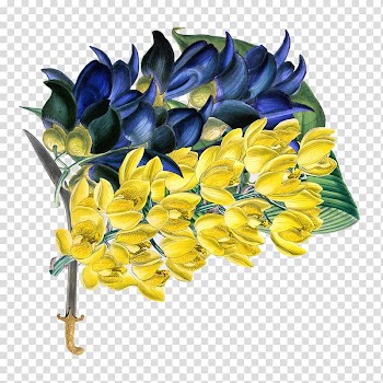 Ukraine Collage Art, Plants flower pattern sword transparent background PNG clipart