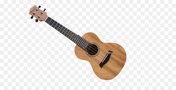 Ukulele Acoustic guitar - Ukulele 