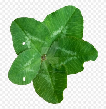Ultra Lucky Clover Png By Bunny With Camera - Clover