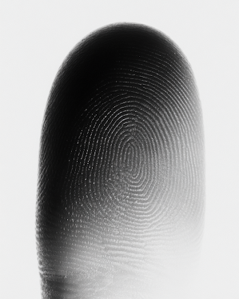 Ultra-Realistic Forensic Fingerprint Close-Up