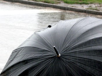 Umbrella_4585.JPG