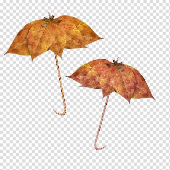 Umbrella Desktop , ants transparent background PNG clipart